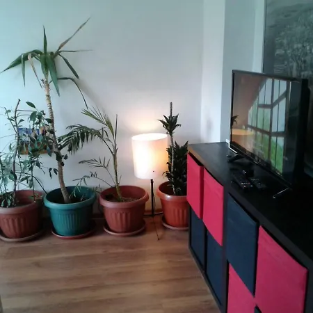 Yoko's House Apartment