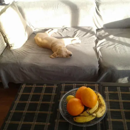 Yoko's House Apartment